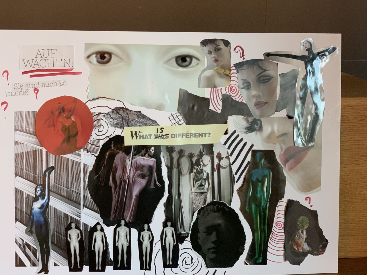 2024-12-06 15.39.13.jpg